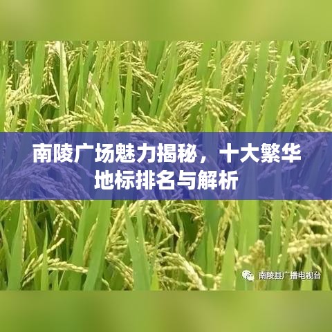 南陵广场魅力揭秘，十大繁华地标排名与解析