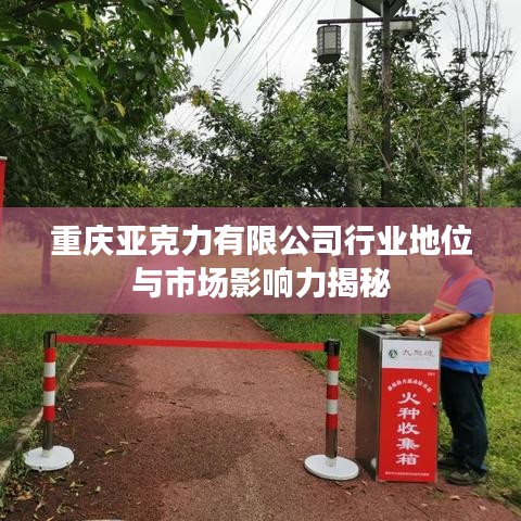 重庆亚克力有限公司行业地位与市场影响力揭秘