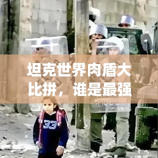 坦克世界肉盾大比拼，谁是最强战场盾牌？排名揭晓！