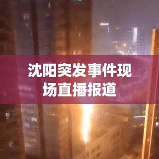 沈阳突发事件现场直播报道