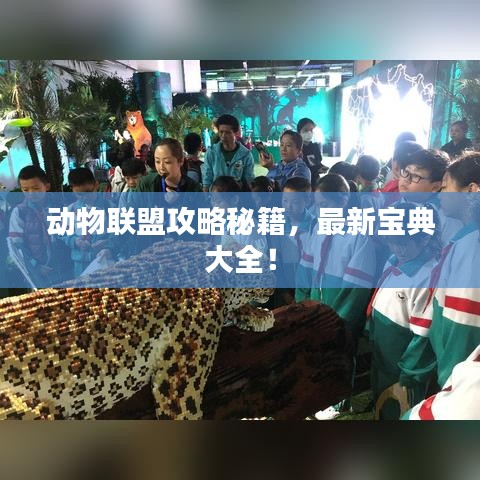 动物联盟攻略秘籍，最新宝典大全！