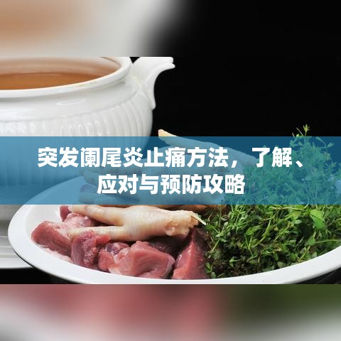 雅人清致