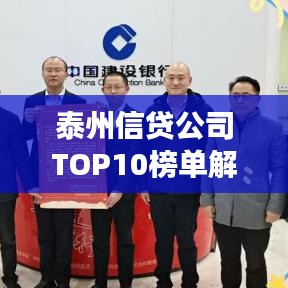 泰州信贷公司TOP10榜单解析，市场格局与业务特色深度揭秘