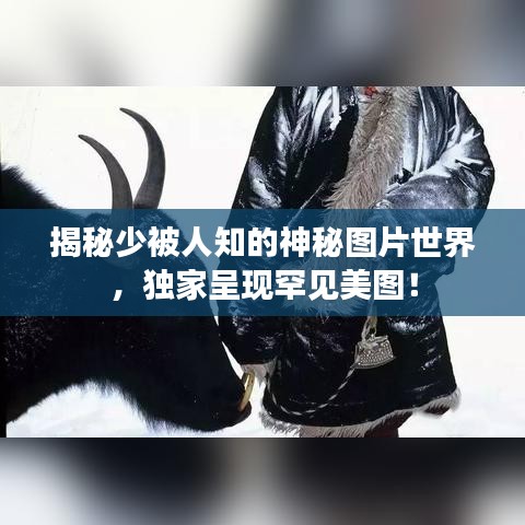 揭秘少被人知的神秘图片世界，独家呈现罕见美图！