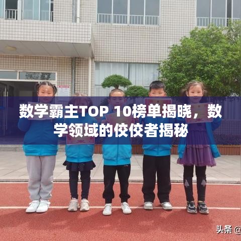 数学霸主TOP 10榜单揭晓，数学领域的佼佼者揭秘