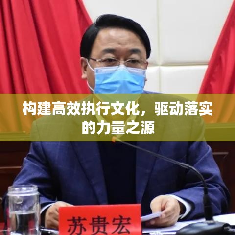 构建高效执行文化，驱动落实的力量之源