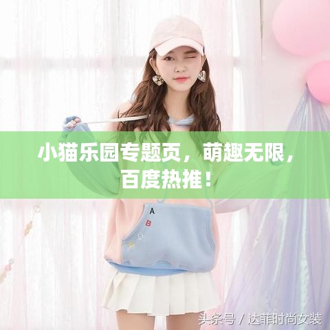小猫乐园专题页，萌趣无限，百度热推！