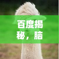 百度揭秘，脑癌的认知、预防与治疗策略