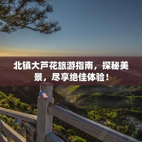 北镇大芦花旅游指南，探秘美景，尽享绝佳体验！