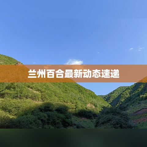 兰州百合最新动态速递