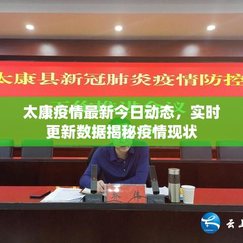 太康疫情最新今日动态，实时更新数据揭秘疫情现状