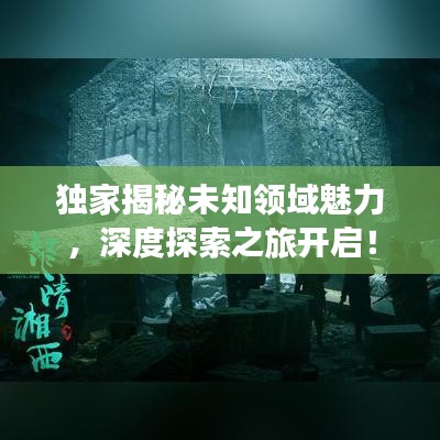 独家揭秘未知领域魅力，深度探索之旅开启！