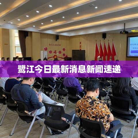 鹭江今日最新消息新闻速递