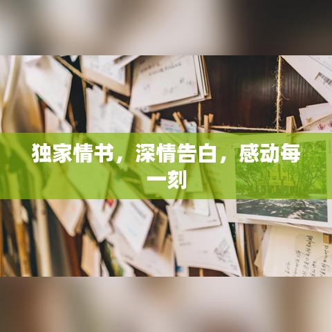 独家情书，深情告白，感动每一刻