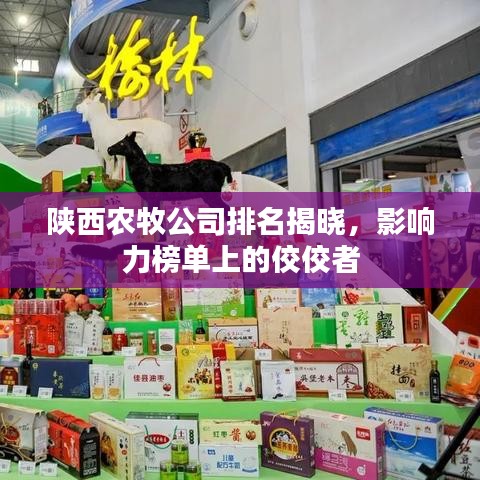 陕西农牧公司排名揭晓，影响力榜单上的佼佼者