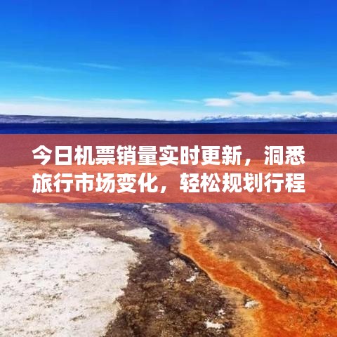 今日机票销量实时更新，洞悉旅行市场变化，轻松规划行程攻略