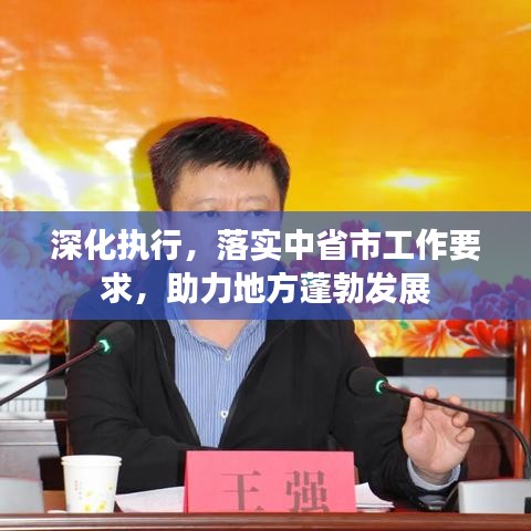 深化执行，落实中省市工作要求，助力地方蓬勃发展