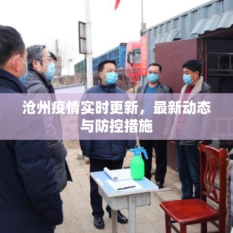 沧州疫情实时更新，最新动态与防控措施
