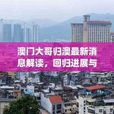 澳门大哥归澳最新消息解读，回归进展与关注焦点