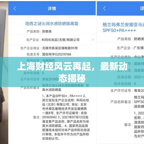 上海财经风云再起，最新动态揭秘