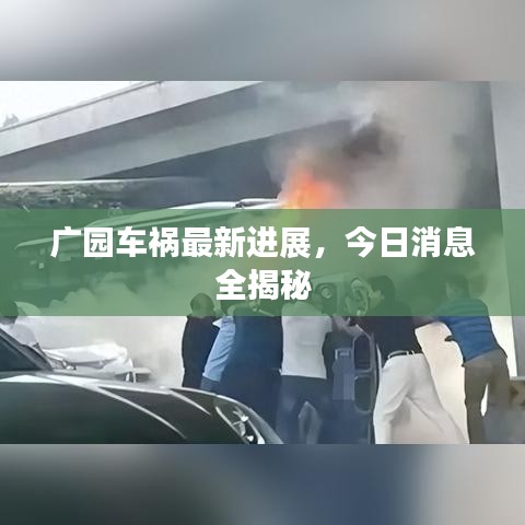 广园车祸最新进展，今日消息全揭秘