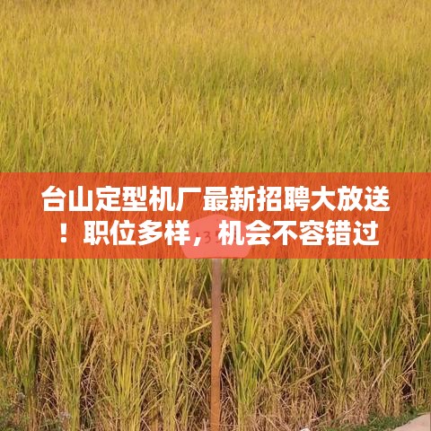 台山定型机厂最新招聘大放送！职位多样，机会不容错过