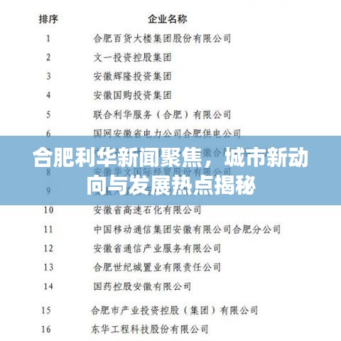 合肥利华新闻聚焦，城市新动向与发展热点揭秘
