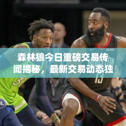 森林狼今日重磅交易传闻揭秘，最新交易动态独家爆料