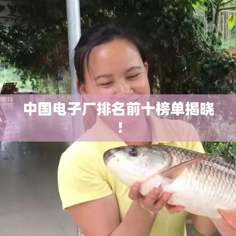 中国电子厂排名前十榜单揭晓！