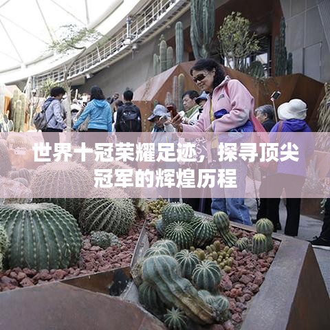 世界十冠荣耀足迹，探寻顶尖冠军的辉煌历程