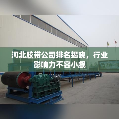 河北胶带公司排名揭晓，行业影响力不容小觑