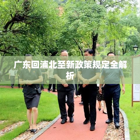 广东回浦北至新政策规定全解析
