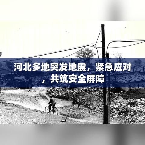 河北多地突发地震，紧急应对，共筑安全屏障