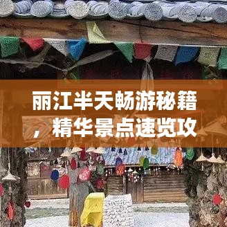 夯雀儿先飞