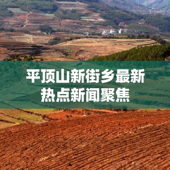 平顶山新街乡最新热点新闻聚焦