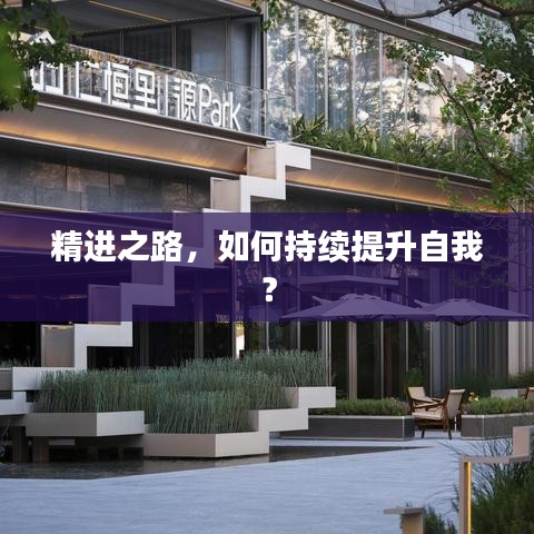 精进之路，如何持续提升自我？