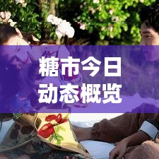 糖市今日动态概览，最新消息悉数呈现