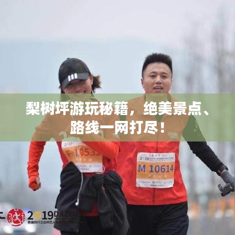 梨树坪游玩秘籍，绝美景点、路线一网打尽！