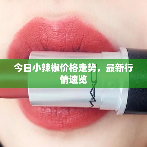 今日小辣椒价格走势，最新行情速览