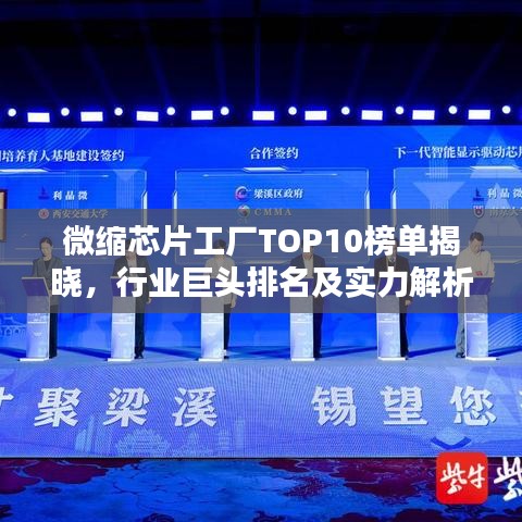 微缩芯片工厂TOP10榜单揭晓，行业巨头排名及实力解析