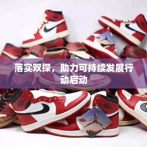 落实双探，助力可持续发展行动启动