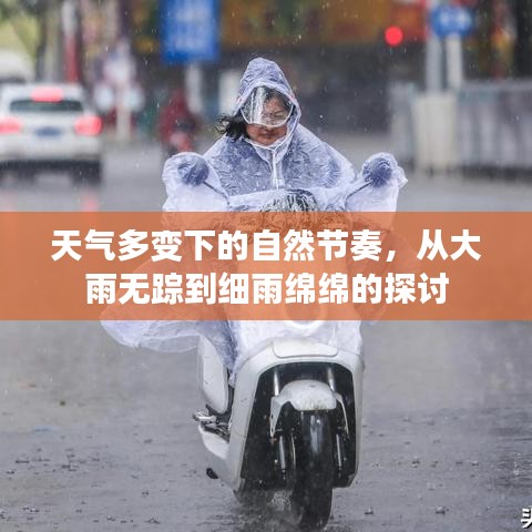 天气多变下的自然节奏，从大雨无踪到细雨绵绵的探讨