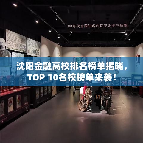 沈阳金融高校排名榜单揭晓，TOP 10名校榜单来袭！