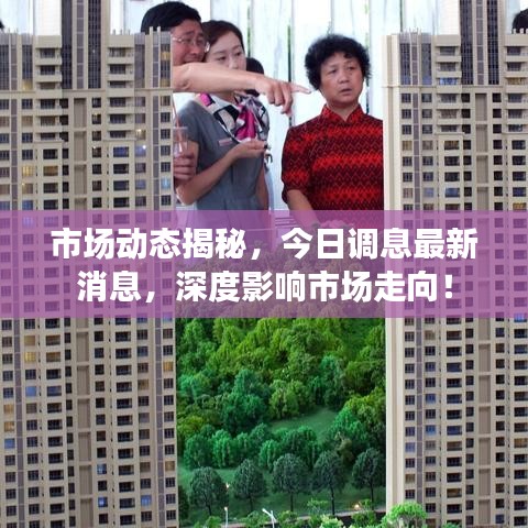 市场动态揭秘，今日调息最新消息，深度影响市场走向！
