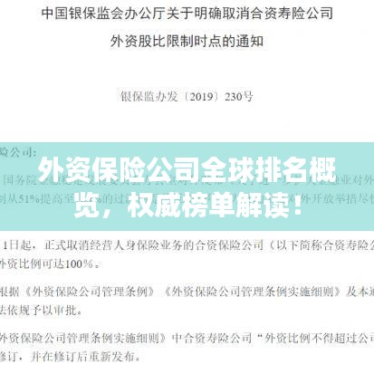 外资保险公司全球排名概览，权威榜单解读！