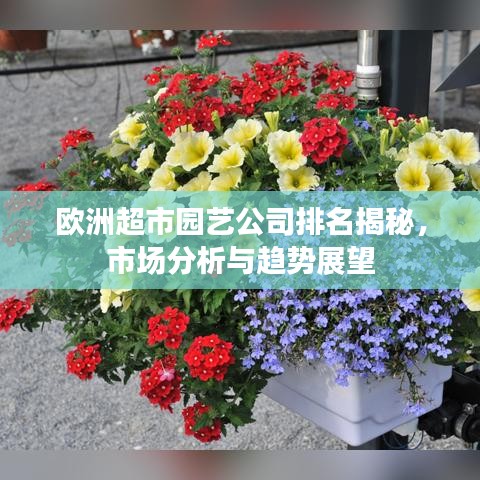 明目张胆