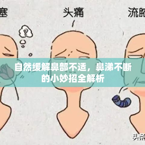 自然缓解鼻部不适，鼻涕不断的小妙招全解析