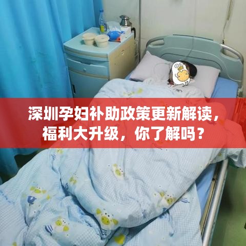 深圳孕妇补助政策更新解读，福利大升级，你了解吗？