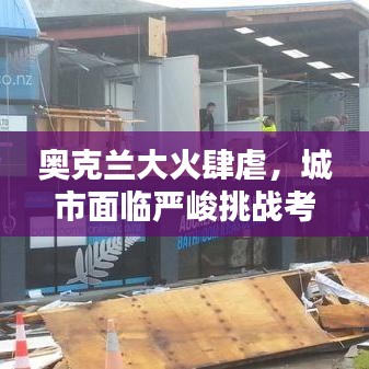 奥克兰大火肆虐，城市面临严峻挑战考验