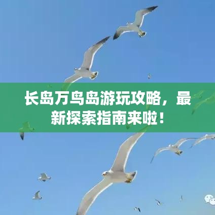 长岛万鸟岛游玩攻略，最新探索指南来啦！